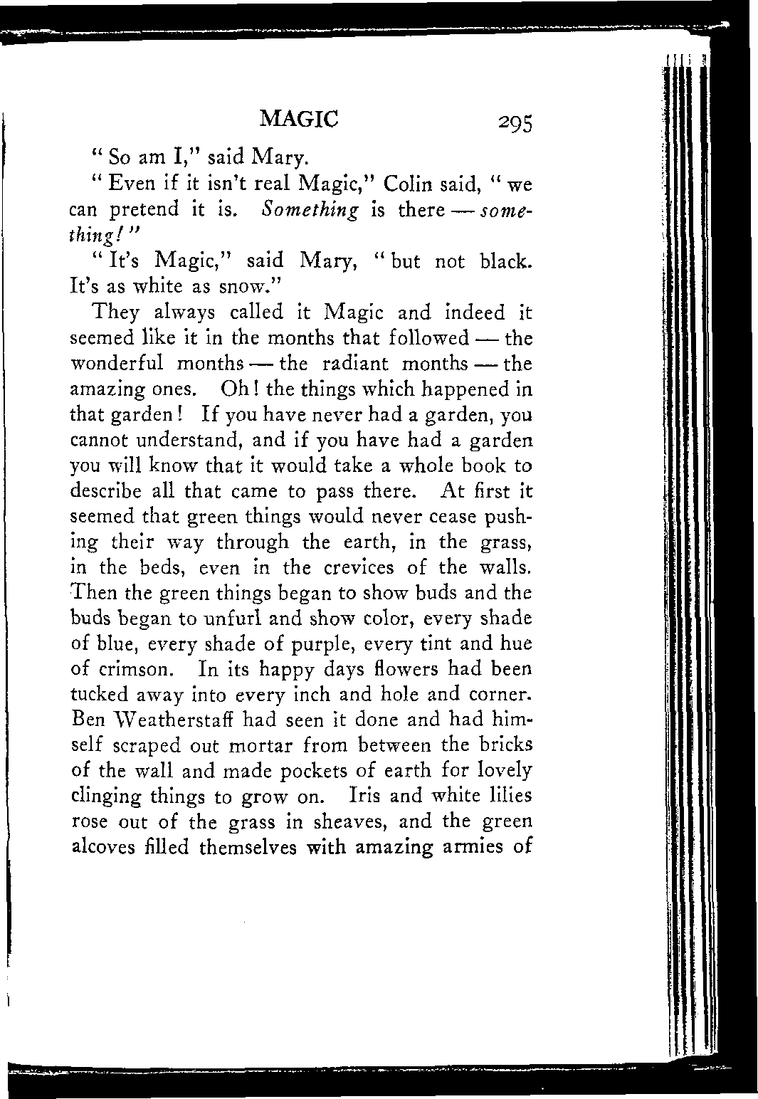 p295.png